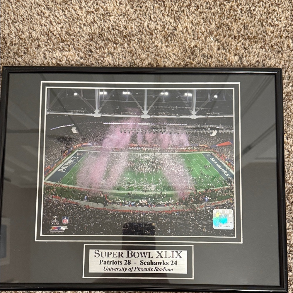NFL Super Bowl XLIX Black Framed Stadium Photo